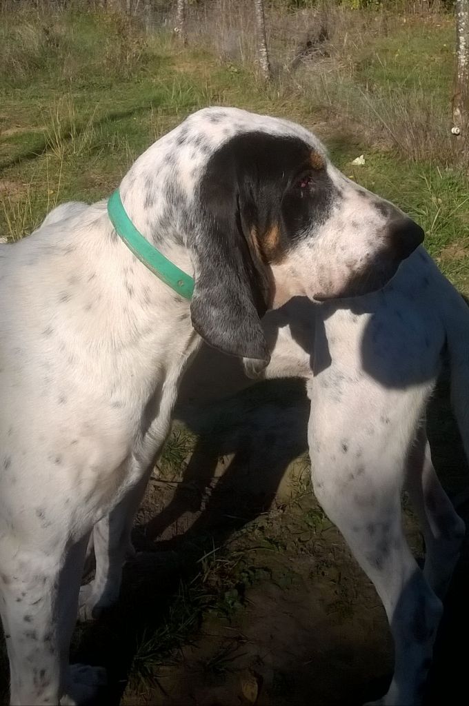 Lucky-luke Des Princes Du Quercy
